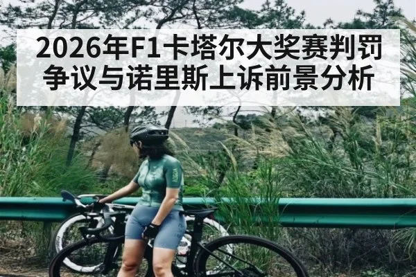 2026年F1卡塔尔大奖赛判罚争议与诺里斯上诉前景分析